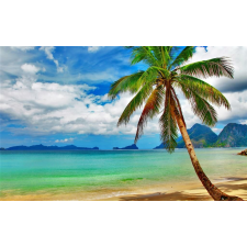  Tapéta Tengerpart pálmafával, 300 x 250 cm tapéta, díszléc és más dekoráció