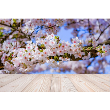  Tapéta Virágok100, 300 x 250 cm tapéta, díszléc és más dekoráció