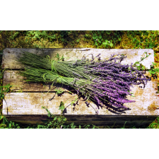  Tapéta Virágok67, 300 x 250 cm tapéta, díszléc és más dekoráció