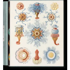 Taschen GmbH The Art and Science of Ernst Haeckel | Rainer Willmann egyéb könyv