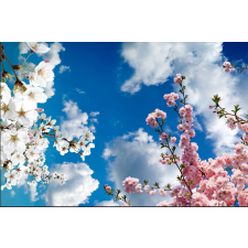  Tavaszi fák tapéta, 350 x 250 cm tapéta, díszléc és más dekoráció