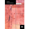 Taylor &amp; Francis Ltd Gender Transformations | Sylvia Walby