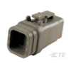 TE Connectivity Hüvelyház kábel DTM Pólusok száma 6 DTM06-6S-E007 1 db (DTM06-6S-E007)