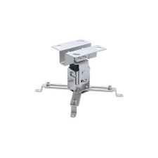 Techly Deckenhalterung f. Beamer, ausziehbar, 130mm, silber (ICA-PM-2S) tv állvány és fali konzol