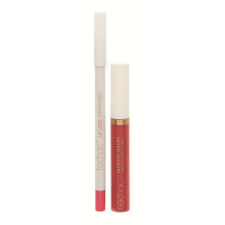 Technic Lip Kit, ajak készlet, rózsa rúzs, szájfény