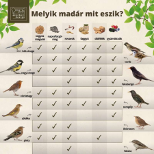  Téli madáreleség mix, 1 kg madáreledel