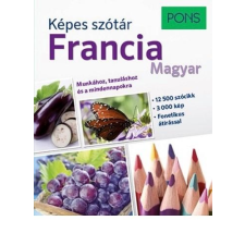 Temesvári Zsolt (Szerk.) - KÉPES SZÓTÁR - FRANCIA-MAGYAR (PONS) nyelvkönyv, szótár