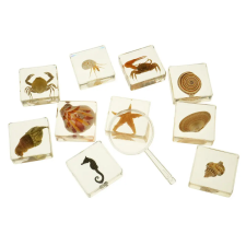  Tengeri állatok csomag - 10 db-os preparátum készlet oktatójáték