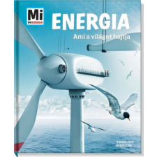 TESSLOFF ÉS BABILON KIADÓI KFT Energia gyermek- és ifjúsági könyv