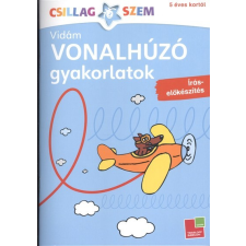 Tessloff És Babilon Kiadói Kft. Vonalhúzó gyakorlatok: Írás előkészítés - kék /Csillagszem gyermek- és ifjúsági könyv