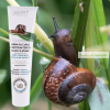 TESTÁPOLÓ KRÉM CSIGANYÁLKA KIVONATTAL 125G – EDITT