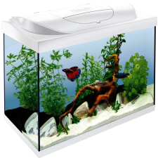  Tetra Starter Line 60 Led Komplett felszerelt akvárium 54l fehér 60x30x30cm (319707) akvárium