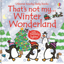  That's not my... Winter Wonderland – Rachel Wells idegen nyelvű könyv