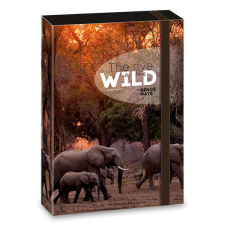  The Eyes of the Wild elefántos füzetbox - A4 füzetbox