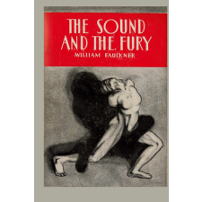  The Sound and the Fury idegen nyelvű könyv