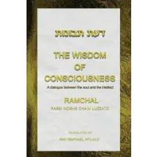  The Wisdom of Consciousness idegen nyelvű könyv