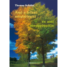 Thomas Schäfer - Ami a lelket megbetegíti és ami meggyógyítja egyéb könyv