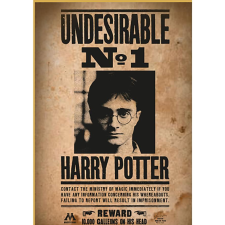 thumbs up ThumbsUp! Puzzle Harry Potter "Wanted No.1"          50Teile (8435450255397) puzzle, kirakós