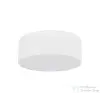 TK Lighting Livo kültéri mennyezeti lámpa TK-10983