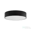 TK Lighting Livo kültéri mennyezeti lámpa TK-10988