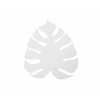 TK Lighting Monstera LED fali lámpa fehér