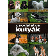 TKK Kereskedelmi Kft. Csodálatos kutyák gyermek- és ifjúsági könyv