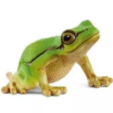 TM Toys Schleich: Európai levelibéka 14882 játékfigura