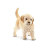 TMTOYS : Schleich Golden Retriever kölyök - Egyéb