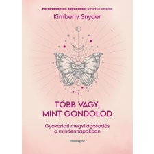 Több vagy, mint gondolod - Gyakorlati megvilágosodás a mindennapokban egyéb könyv