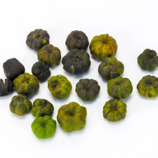  Tökbogyó zöld 20db/csomag dekorációs kellék