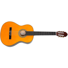 TOLEDO Primera GP-44NT gitár és basszusgitár