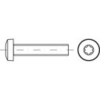 Toolcraft 1068740 Csavarok M6 10 mm T-profil DIN 7985 Nemesacél A2 200 db (1068740)