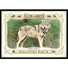 Topps 2021-23 Topps Allen and Ginter Rallying Back #RB-1 Gray Wolf gyűjthető kártya