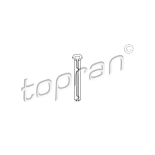 TOPRAN Ajtó zsanér TOPRAN 206 055 autóalkatrész