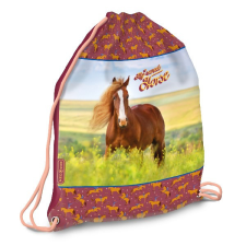 Tornazsák ARS UNA My Sweet Horse tornazsák