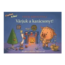 Tóth Krisztina Várjuk a karácsonyt! gyermek- és ifjúsági könyv