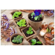  Tőzeg cserép kerek - 6x6cm - 24x4 db kerti tárolás