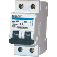Tracon Electric Kismegszakító, 2 pólus, D karakterisztika - 6A, 6kA TDZ-2D-6 - Tracon villanyszerelés