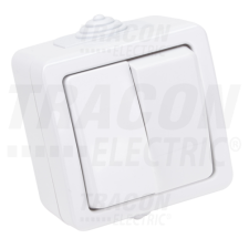 TRACON Falon kívüli 2-áramkörös kapcsoló10AX/250VAC, IP54, (2x101) villanyszerelés