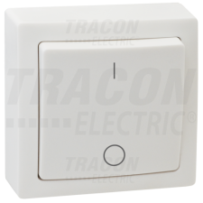TRACON Falon kívüli kétpólusú kapcsoló10AX/250VAC, IP20 (102) villanyszerelés