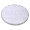 TRACON Okos RGBW beltéri LED mennyezeti lámpa230 V, 50 Hz, 24 W, 1700 lm, RGB+4000 K, TUYA, EEI=G