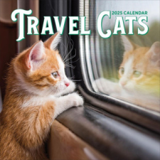 Travel Cats Wall Calendar 2025 naptár, kalendárium