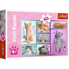 Trefl Aranyos cicák 60db-os puzzle - Trefl (GXP-857171) puzzle, kirakós