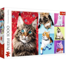 Trefl : Boldog macskák 1000 darabos puzzle (10591) (10591) puzzle, kirakós