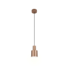 Trio AGUDO 319400165 függeszték, 1x10W E27