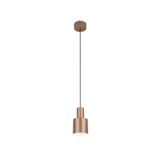 Trio AGUDO 319400165 függeszték, 1x10W E27 világítás