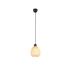 Trio AMELIE R31941036 függeszték, 1x10W E27