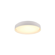 Trio Felis fehér LED mennyezeti lámpa (TRI-R64391031) LED 1 izzós IP20 világítás