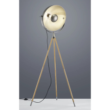 TRIO LIGHTING 403400167 Delhi 1xE27 MAX 60W antik nikkel álló lámpa világítás