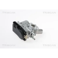 TRISCAN AGR-szelep 8813 14100 autóalkatrész